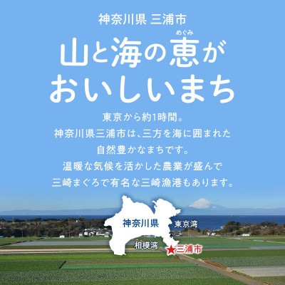 【返礼品なし】応援寄附 農業に関する事業を応援(1,000円)