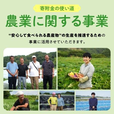 【返礼品なし】応援寄附 農業に関する事業を応援(1,000円)