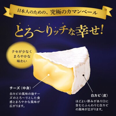 【6ヵ月定期便】明治北海道十勝チーズ カマンベール4種5個セット 計6回 me003-068-t6c