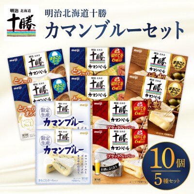明治北海道十勝カマンブルー含む5種10個セット me003-104c