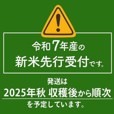 新米先行受付【玄米】あきたこまち 10kg 令和7年産|05_sik-021001s