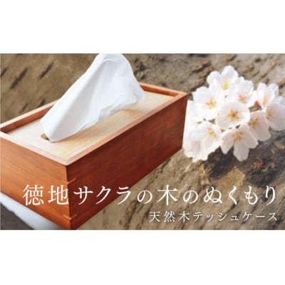 サクラのティッシュケース D285