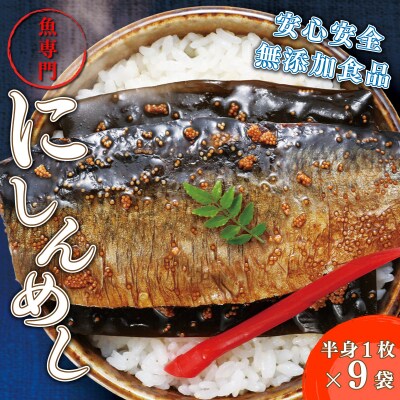 北海道産にしんを使った「にしんめし」 9袋 F21H-432
