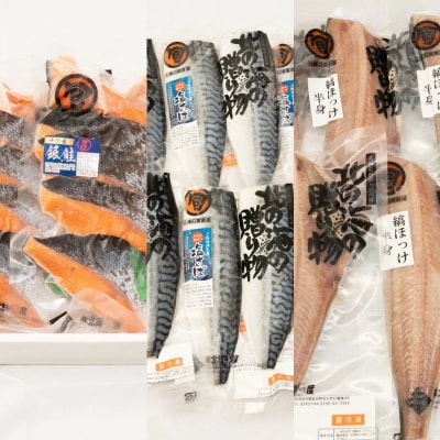 【3ヵ月定期】北緯43度のお土産屋さん 朝食におすすめ!お魚セットE  F21H-515