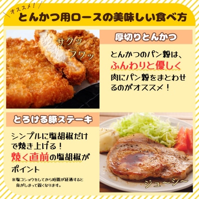 北海道産豚肉・とんかつ用ロース1.2kg(120g×10枚)  F21H-429