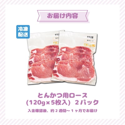 北海道産豚肉・とんかつ用ロース1.2kg(120g×10枚)  F21H-429