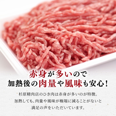 北海道産 豚ひき肉2kg(200g×10パック)  F21H-431
