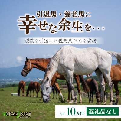 【引退競走馬 余生支援】北海道 岩内町 ホーストラスト北海道支援 (10)  F21H-559