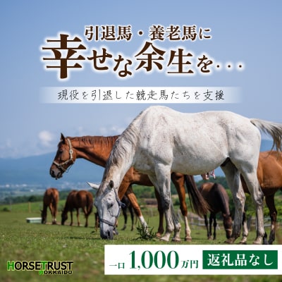 【引退競走馬 余生支援】北海道岩内町 ホーストラスト北海道支援 (1000) F21H-411
