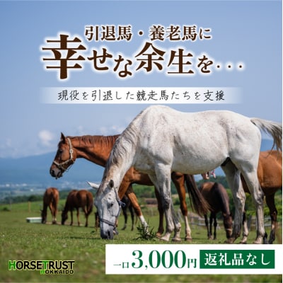 【引退競走馬 余生支援】北海道 岩内町 ホーストラスト北海道支援 3000円コース