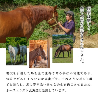 【引退競走馬 余生支援】北海道 岩内町 ホーストラスト北海道支援 3000円コース