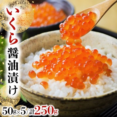 ݖЂ 250g(50g×5)yz045-a008