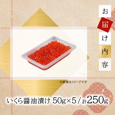 いくら醤油漬け 250g(50g×5)【2025年12月発送】 045-a008-12
