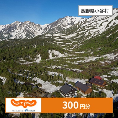 【じゃらんふるさと納税クーポン】 長野県小谷村でつかえる300円 クーポン