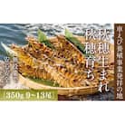 旭水産活き車海老(あいおえび)350g(9～13尾)【養殖】 D247