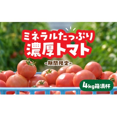 山口秋穂トマト　浜青江とまと農園 D325