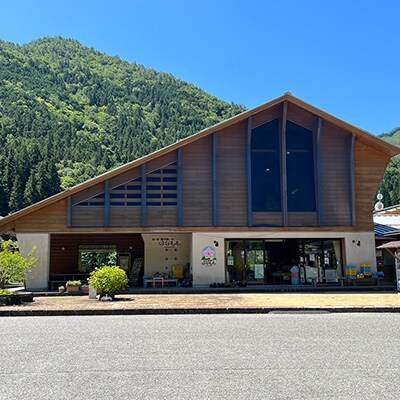 鉱泉粥 12食セット 鉱泉粥白米×6袋・鉱泉粥玄米×6袋(1袋260g入)【91-2】