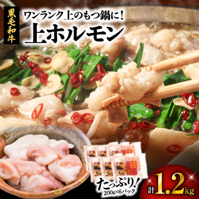 ワンランク上のもつ鍋に!小腸1.2kg(ホルモン)　K002-004