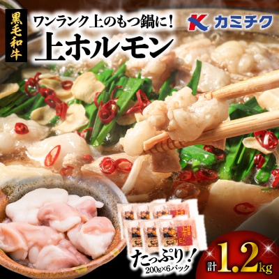ワンランク上のもつ鍋に!小腸1.2kg(ホルモン)　K002-004