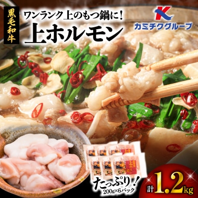 ワンランク上のもつ鍋に!小腸1.2kg(ホルモン)　K002-004