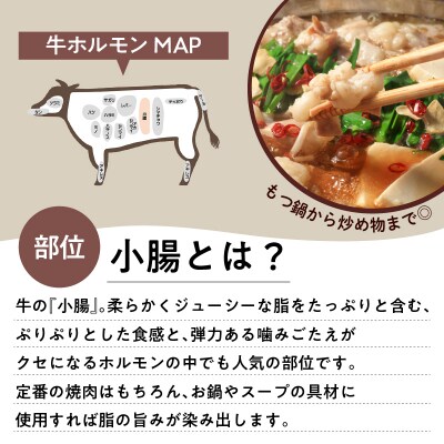 【 期間限定 生活応援 】ワンランク上のもつ鍋に!小腸1.2kg(ホルモン)　K002-004