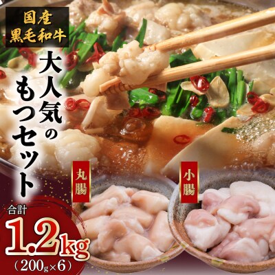 黒毛和牛!大人気のもつ(ホルモン)セット　K002-006