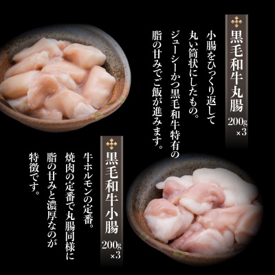 黒毛和牛!大人気のもつ(ホルモン)セット　K002-006