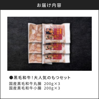 黒毛和牛!大人気のもつ(ホルモン)セット　K002-006