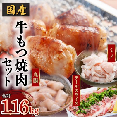 国産!牛もつ(ホルモン)焼肉セット　K002-007