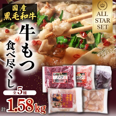 牛もつ(ホルモン)食べ尽くし!オールスターセット　K002-008