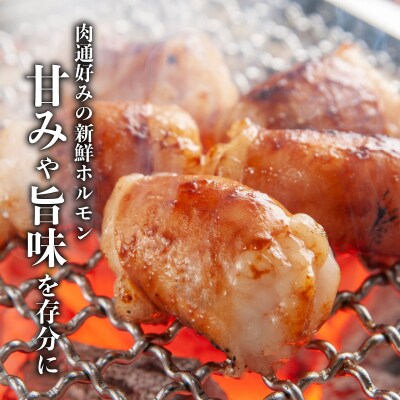 牛もつ(ホルモン)食べ尽くし!オールスターセット　K002-008