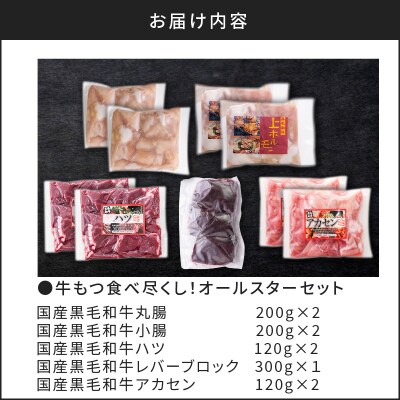 牛もつ(ホルモン)食べ尽くし!オールスターセット　K002-008
