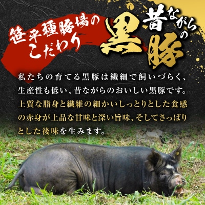 種豚場がお届けする鹿児島伝統の黒豚 黒胡椒の効いた黒豚ウインナー　K125-002