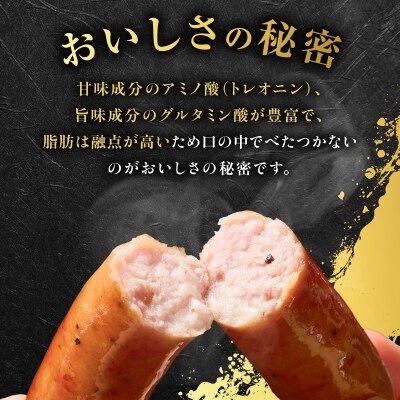 種豚場がお届けする鹿児島伝統の黒豚 黒胡椒の効いた黒豚ウインナー　K125-002