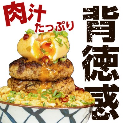 鹿児島肉祭りハンバーグセット　K008-003