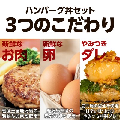 鹿児島肉祭りハンバーグセット　K008-003