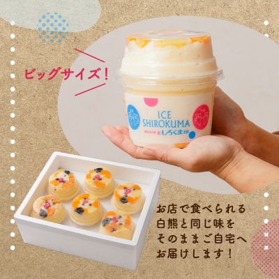 天文館むじゃき　本家白熊6個セット　K009-001