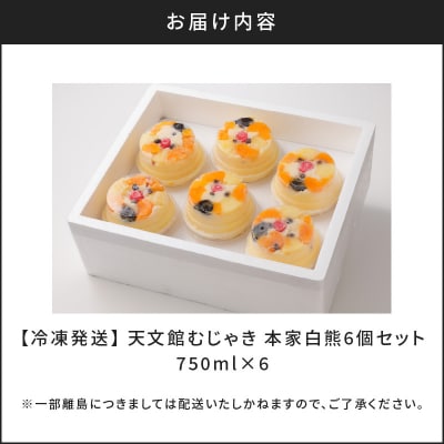 天文館むじゃき　本家白熊6個セット　K009-001