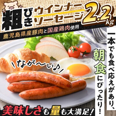 【 期間限定 生活応援 】訳あり粗びきウインナーソーセージセット　K161-001
