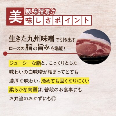 カミチク自慢の南国スイート!焼くだけ簡単おかず　K002-017