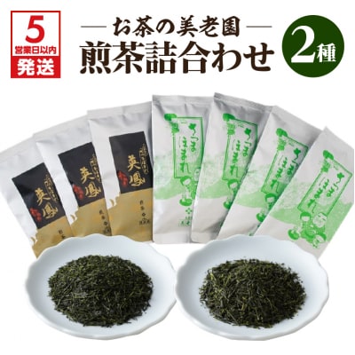【5営業日以内に発送】お茶の美老園　煎茶詰合せ　K021-004