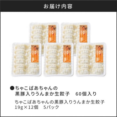 【 期間限定 生活応援 】ちゃこばあちゃんの黒豚入りうんまか生餃子 60個入り　K027-001
