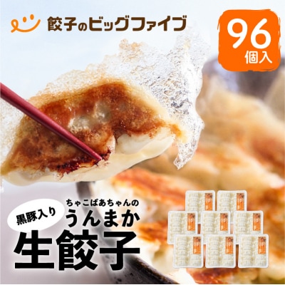 ちゃこばあちゃんの黒豚入りうんまか生餃子　96個入り　K027-002