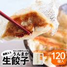 ちゃこばあちゃんの黒豚入りうんまか生餃子 120個入り　K027-003