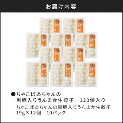 ちゃこばあちゃんの黒豚入りうんまか生餃子 120個入り　K027-003