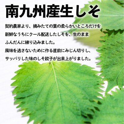 ちゃこばあちゃんの黒豚入りうんまか・しそ生餃子　計84個入り　K027-005