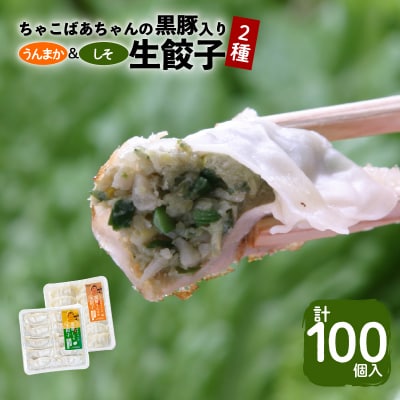 【 期間限定 生活応援 】ちゃこばあちゃんの黒豚入りうんまか・しそ生餃子 計100個入り