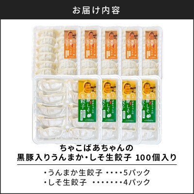 ちゃこばあちゃんの黒豚入りうんまか・しそ生餃子 計100個入り　K027-006