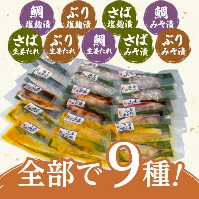 【海幸】漬け魚 9種 詰め合わせ(FK-02)　K065-005