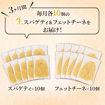 【3ヶ月定期便】生スパゲティ10個×生フェットチーネ10個　K036-T06